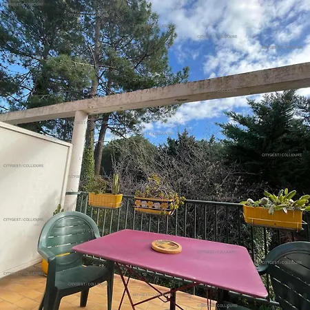 4sap10 Joli Avec Terrasse Collioure