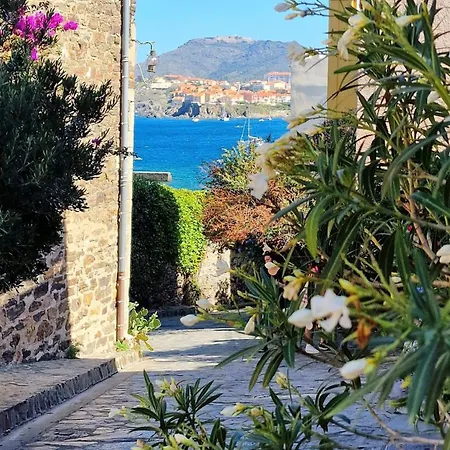 4sap10 Joli Avec Terrasse Διαμέρισμα Κολιούρ