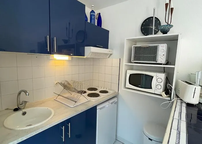 4sap10 Joli Avec Terrasse Collioure